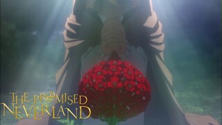 Kill To Survive (English Dub) | The Promised Neverland