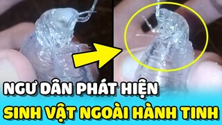 💥 Ngư dân HỐT HOẢNG với SINH VẬT LẠ giống NGƯỜI NGOÀI HÀNH TINH | TIN GIẢI TRÍ