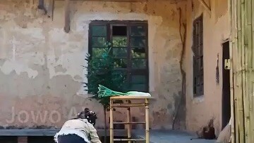 เด็กหญิง5ขวบจอมพลัง😍