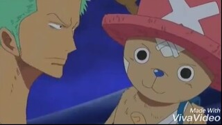Chopper bị Zoro bốp cổ #onepiece