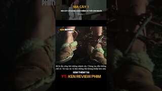 [Tóm Tắt Phim Kinh Dị] M.A CÂY cố gắng xâm chiếm cơ thể CON NGƯỜI| M.a Cây 1981| Ken Review Phim-Pt1