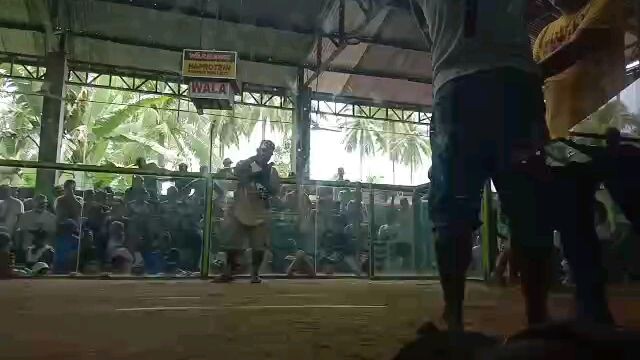 H.s.g Sweater RH cross - 4x winner na...