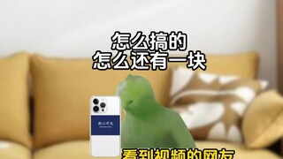 Cô bé: Giờ thì các bạn vui rồi nhé #Kịch ngắn meme mèo# Lan Hoa Can Tử# Hài hước# Cư dân mạng nhiệt 