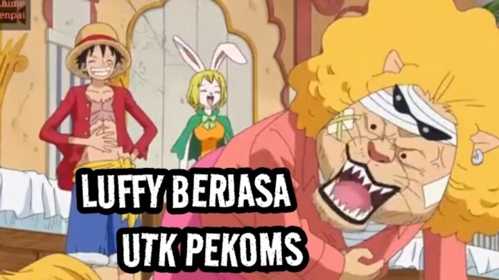 LUFFY BERJASA UTK PEKOMS. #onepiece