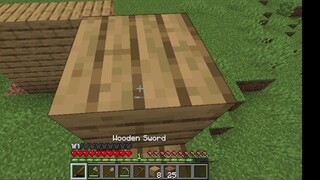 minceraft survie 9