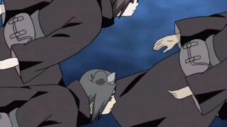 晓组织