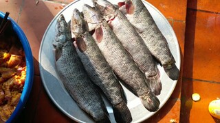 Các Món Ăn Của Mâm Cỗ Quê Nhà Nấu #Monanngon#