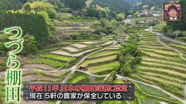 ポツンと一軒家 絶景！日本の棚田百選の先に…手間がかかる果実を3万個もぎとる78歳