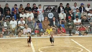 wala na naman sugat s 2hits faatest kill again!