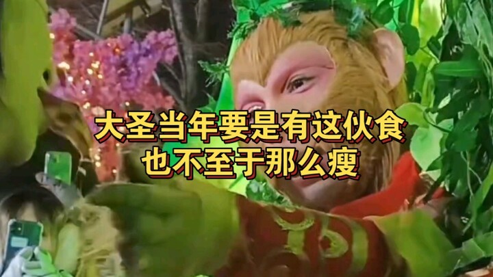 Chế độ ăn của chú khỉ nghịch ngợm ở Vườn Bách Thảo và Sở Thú Trường Xuân ngày càng được cải thiện