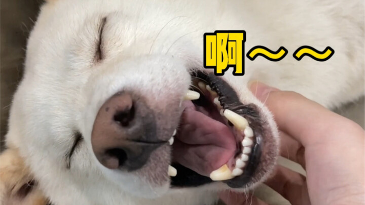 妈妈的好大儿（别瞅我了）