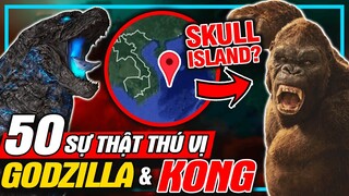 Godzilla & Kong: 50 Sự Thật Thú Vị - Skull Island Ở Việt Nam? | meXINE