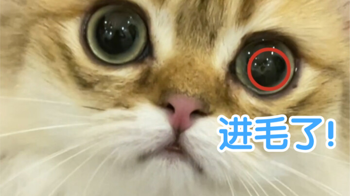 It turns out having big eyes can be a hassle too