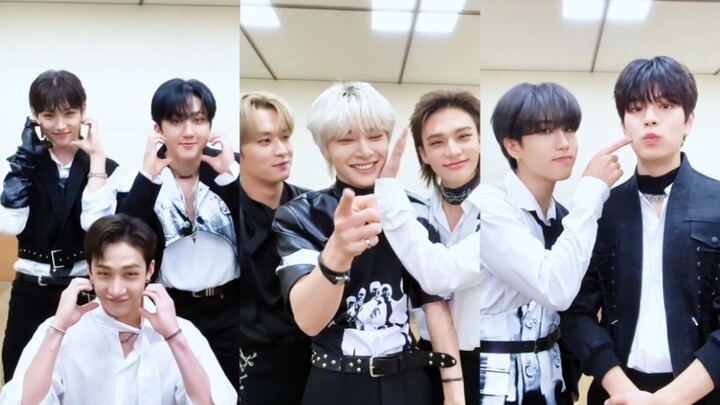 【Stray Kids】Bagaimana orang yang takut bisa berada di kelompok yang sama (doge