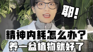 Bagaimana cara mengatasi kelelahan mental? Saran saya: peliharalah sepotong tanaman!!