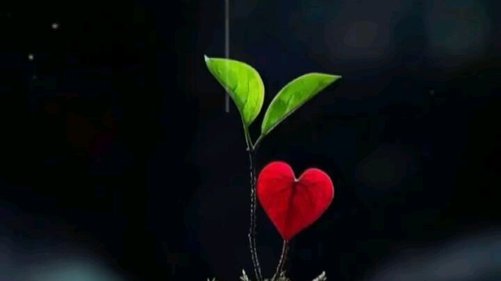 আমার