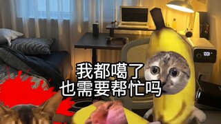妈妈带来的的压迫感有多强