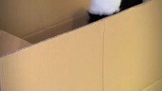 Permisiiiii,,,pakettπΈπΈ