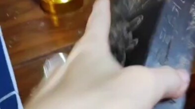 Một món đồ mà La Chân mang về