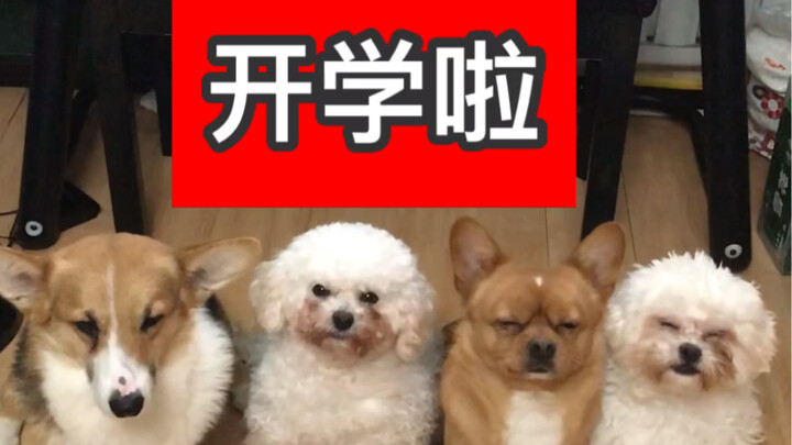 Class Series: The Handshake