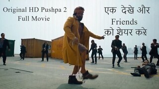 Pushpa 2 The Rule 2024 || Hindi || Pushpa