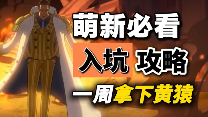 壮志雄心萌新入坑攻略！二十分钟拿下罗宾，一周内拿到黄猿