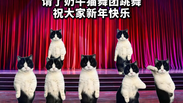 We invited the NiuNiu Cat Dance Troupe to perform—wishing everyone a Happy New Year!