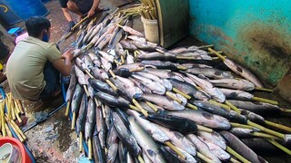 Cận cảnh quy trình làm Hàng ngàn con Cá lóc nướng mía chuẩn bị bán ngày Vía thần tài ở Sài Gòn