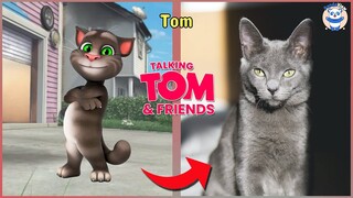 Talking Tom and Friends Characters In Real Life