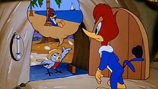 伍迪偷吃别人劳动成果，却不料被大自然惩罚，小动物们都不帮他