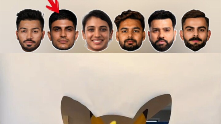 #cricket