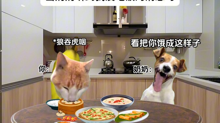 当奶奶听到我没吃饭的消息时