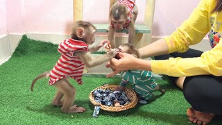 Trying candies and have fun, Mino, Lay Heang and Coconut monkeys