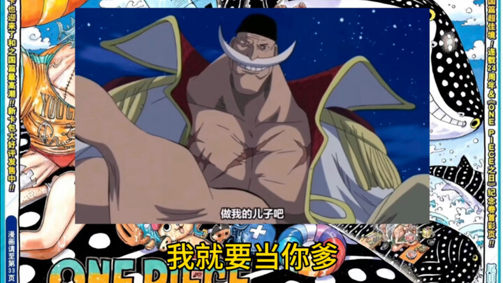 海贼王十大概念神