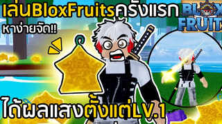 BLOX FRUITS ได้ผลแสงตั้งแต่เลเวล 1 !! หาง่ายเกินไปมั้ย! EP1 เล่นครั้งแรกจ้า