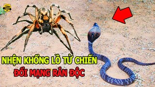 🔴 NhữngTrận Tử Chiến Điên Rồ Và Kì Quái Nhất Có 1-0-2 Vô Tình Được Camera Ghi lại