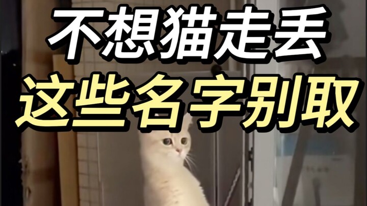 Let the cat choose its own name!