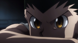 Hunter X Hunter - Gon`s Rage