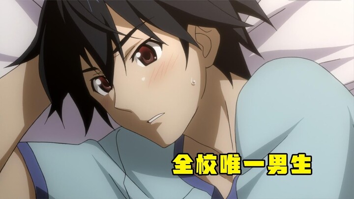 甜甜講動漫：全校唯一的男生，每天被女生包圍，搶著和他一間宿舍