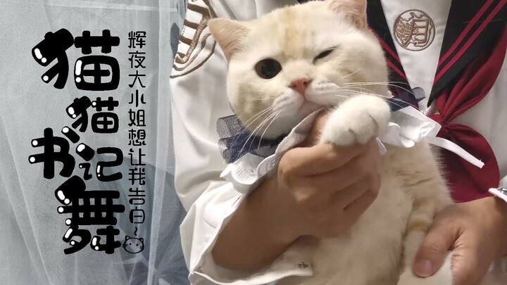 【书记舞】激萌小猫咪在线跳舞，蛋黄酱小公子想让我告白