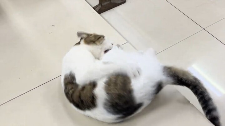Sudah kukatakan, kalau kode sudah bisa berjalan, jangan sembarangan mengutak-atiknya!