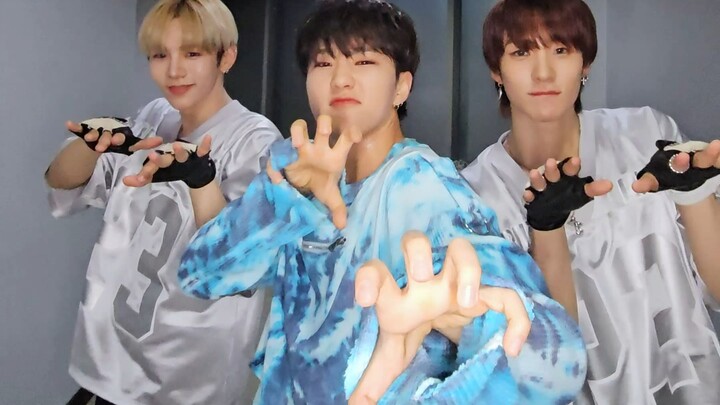 [RIIZE] 🐯Finally!🐯