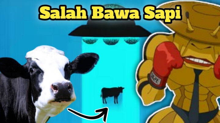 Salah Bawa Sapi