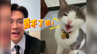 Meow language blind date! I'm dating a fan's cat!
