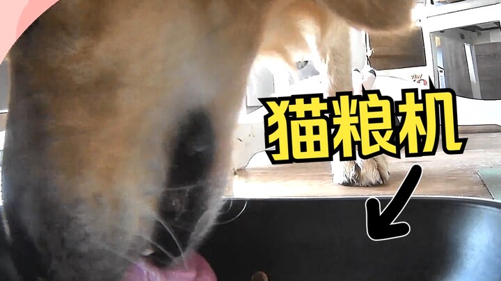 تركيب كاميرات المراقبة فعلاً يُمكنه الإمساك باللصوص!