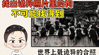 找出诡异照片里的狗？我眼睛都看累了，这不可能找得到！