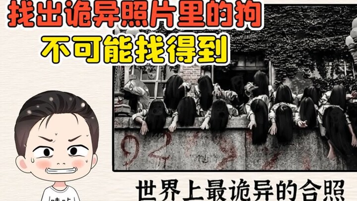找出诡异照片里的狗？我眼睛都看累了，这不可能找得到！