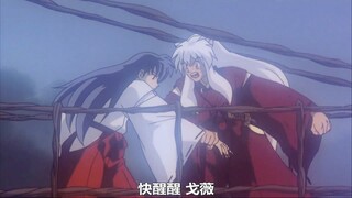 六边形战士的戈薇