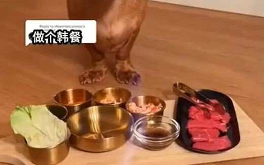 Your dog eats so well—Koreans must be dying of envy!