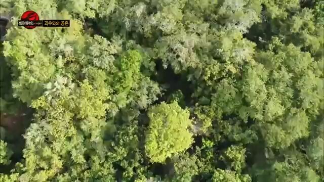 ENG. Law of the jungle 274